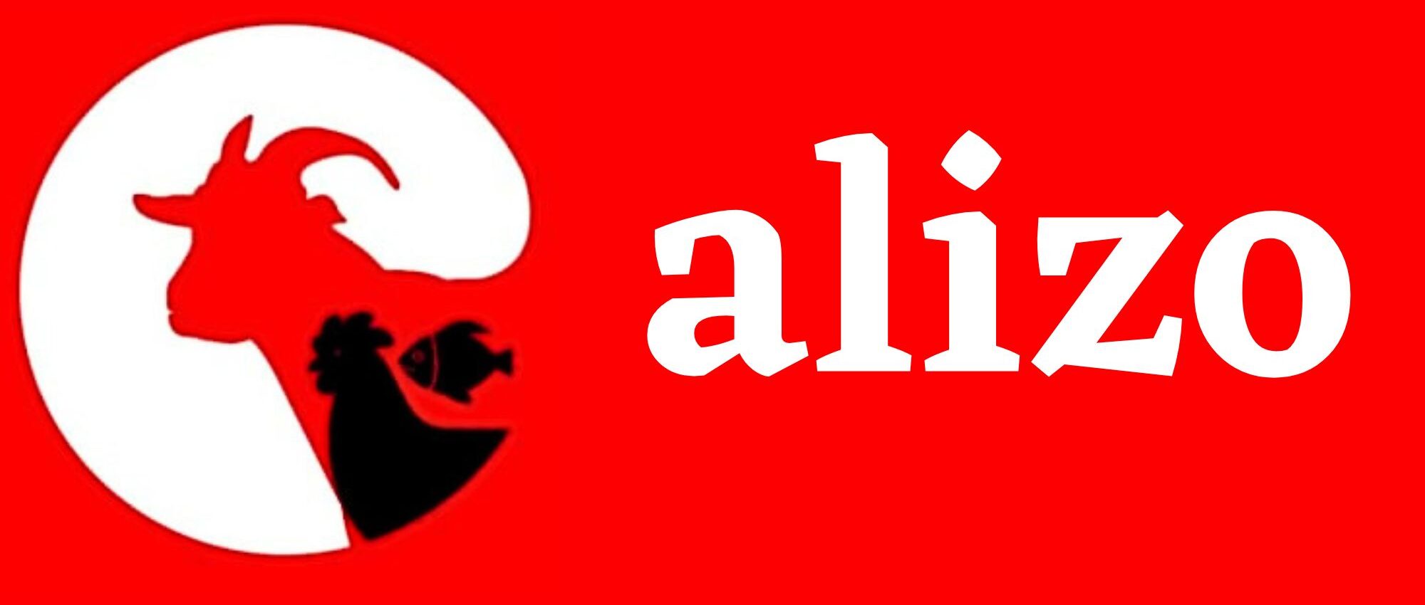 Alizo
