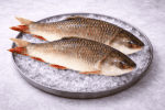 fresh quality Rohu Fish delivery in Meerut